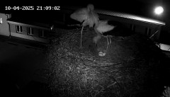 IMG_5700.jpeg