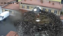 IMG_5994.jpeg