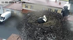 IMG_5997.jpeg