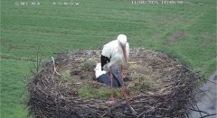 IMG_5961.jpeg