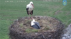 IMG_5973.jpeg