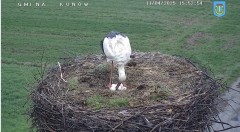 IMG_5998.jpeg
