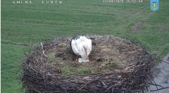 IMG_6001.jpeg