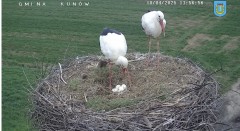 IMG_5585.jpeg