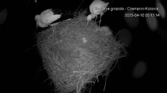 IMG_6029.jpeg
