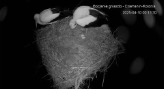IMG_6031.jpeg