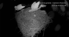IMG_6033.jpeg