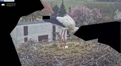IMG_5965.jpeg