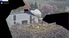 IMG_5969.jpeg