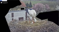 IMG_5971.jpeg