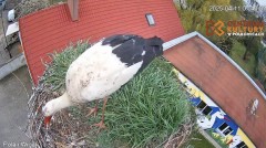 IMG_6010.jpeg
