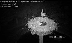 IMG_5799.jpeg