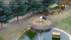 IMG_6020.jpeg