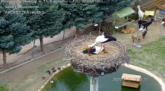 IMG_6021.jpeg