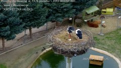 IMG_6024.jpeg
