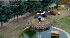 IMG_6027.jpeg