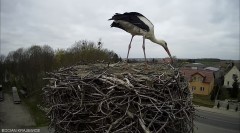 IMG_6057.jpeg
