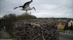 IMG_6062.jpeg