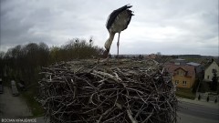 IMG_6067.jpeg