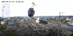 IMG_5904.jpeg