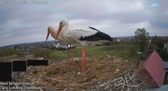 IMG_5833.jpeg