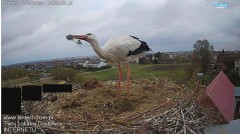 IMG_5910.jpeg