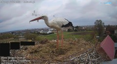 IMG_5912.jpeg