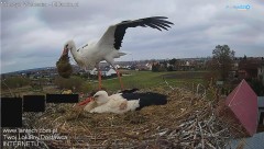 IMG_5955.jpeg