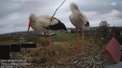 IMG_5963.jpeg