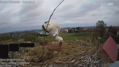 IMG_5981.jpeg