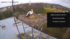 IMG_5838.jpeg