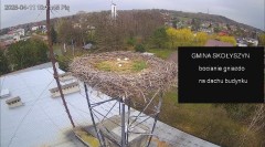 IMG_5840.jpeg