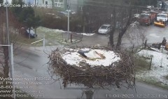 IMG_5897.jpeg