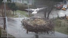 IMG_6094.jpeg