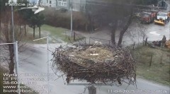 IMG_6095.jpeg