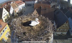 IMG_5924.jpeg