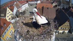 IMG_5940.jpeg
