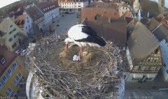 IMG_5993.jpeg