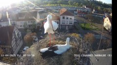 IMG_5992.jpeg