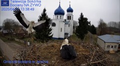 IMG_6111.jpeg