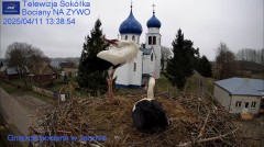 IMG_6112.jpeg