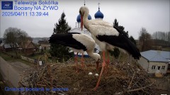 IMG_6116.jpeg