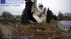 IMG_6118.jpeg