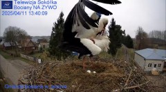 IMG_6120.jpeg