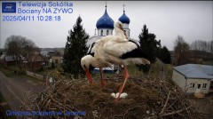 IMG_6124.jpeg