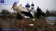 IMG_6125.jpeg