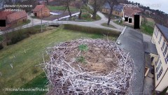 Agresor opuścił gniazdo