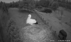 IMG_6127.jpeg