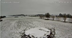 IMG_6015.jpeg