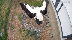 IMG_6138.jpeg